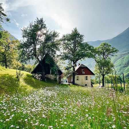 Apartments Mala Korita Soce Soča Екстериор снимка