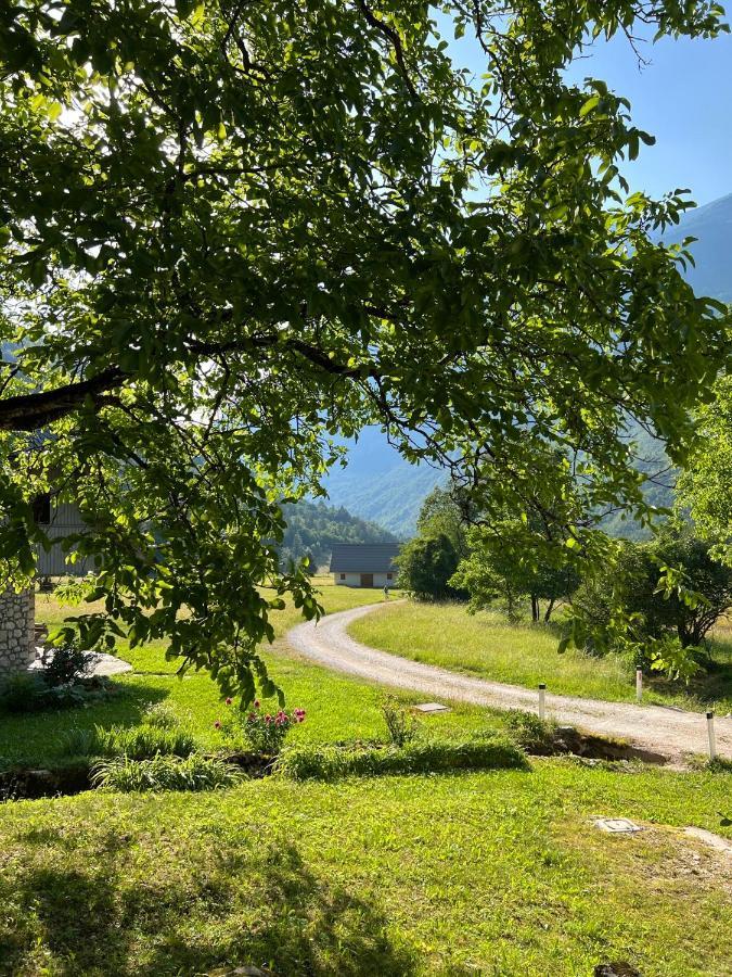 Apartments Mala Korita Soce Soča Екстериор снимка