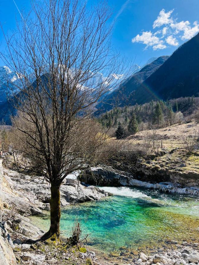 Apartments Mala Korita Soce Soča Екстериор снимка