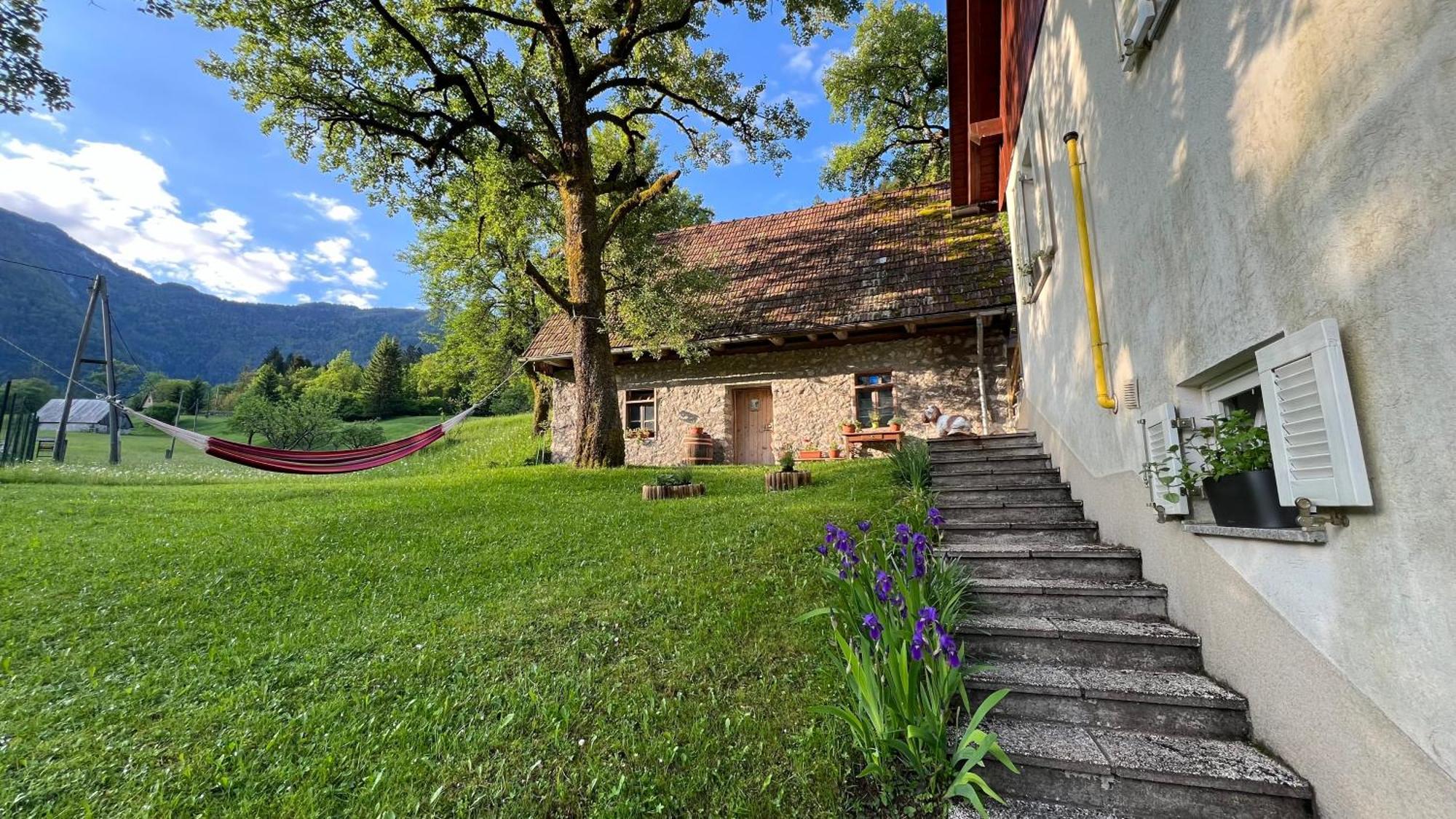 Apartments Mala Korita Soce Soča Екстериор снимка