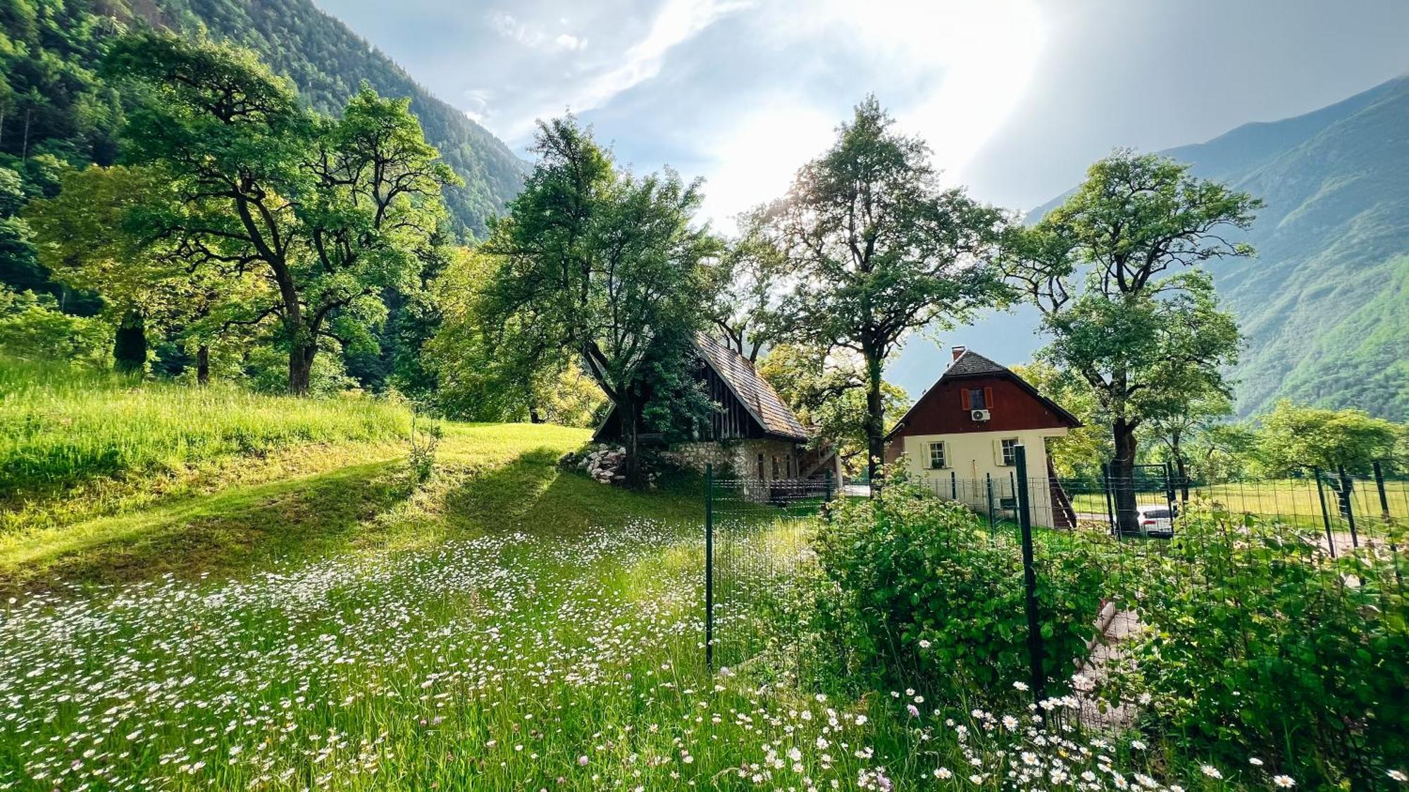 Apartments Mala Korita Soce Soča Екстериор снимка