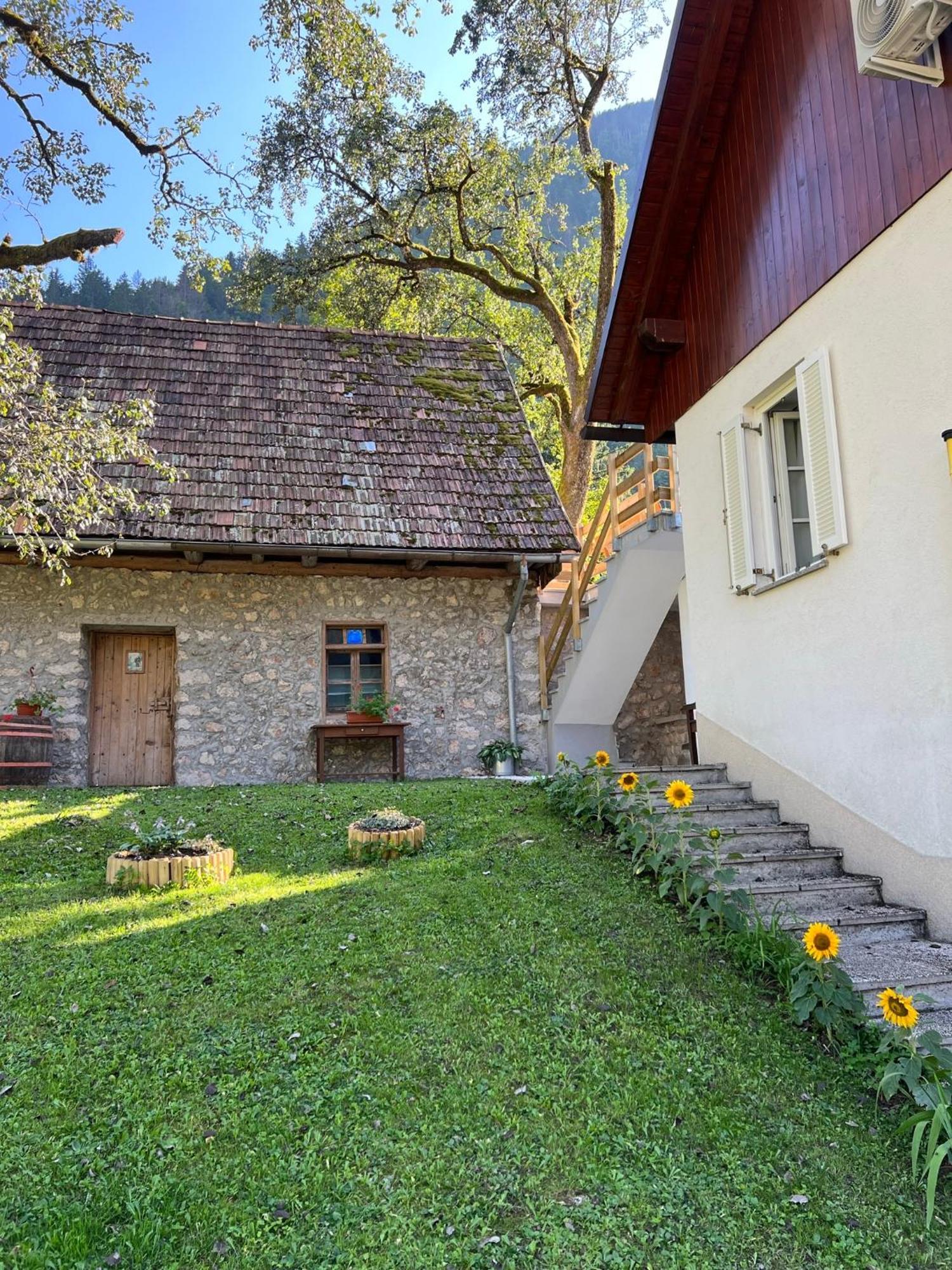 Apartments Mala Korita Soce Soča Екстериор снимка