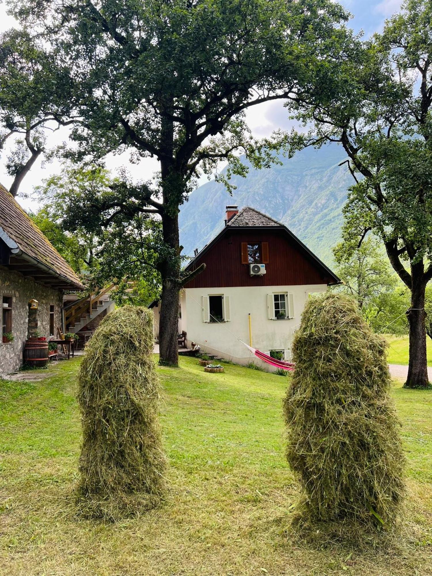 Apartments Mala Korita Soce Soča Екстериор снимка