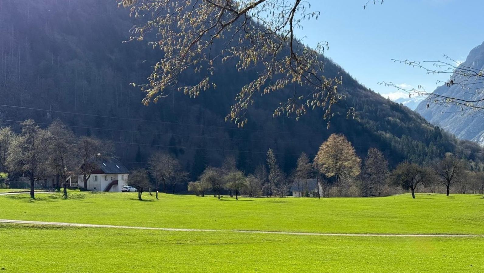 Apartments Mala Korita Soce Soča Екстериор снимка
